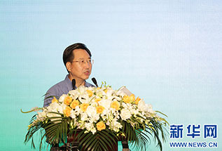 中国电力企业联合会专职副理事长王志轩致辞
