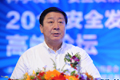 杨元元：实施安全发展 需从五方面加大力度