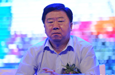 中央政策研究室常务副主任何毅亭出席会议