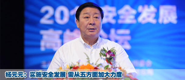 杨元元：实施安全发展 需从五方面加大力度