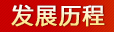 发展历程