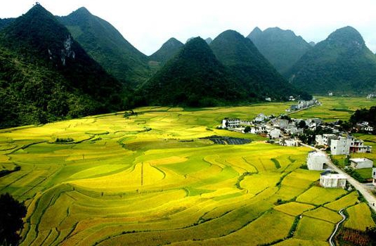 生态环境部将实施农业农村和渤海治理攻坚战
