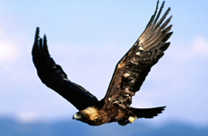 跨越发展 潞安集团的新天地