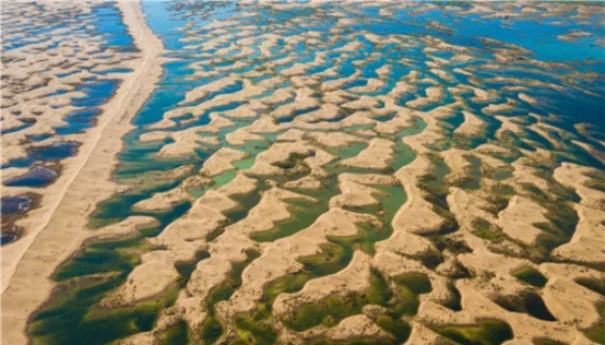 媒体聚焦库布其治沙 荒漠化治理的英雄史诗