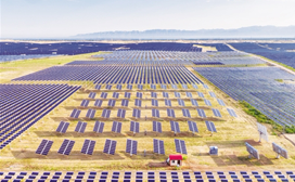 企业治沙：留得住青山 到处是金山