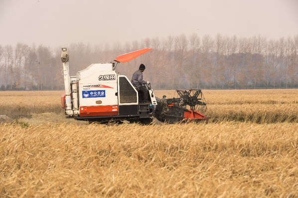 稻花香里说丰年,听取赞声一片