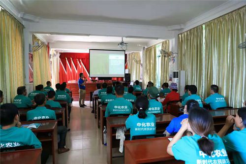 中化农业在海南:MAP进村,走活一盘大棋