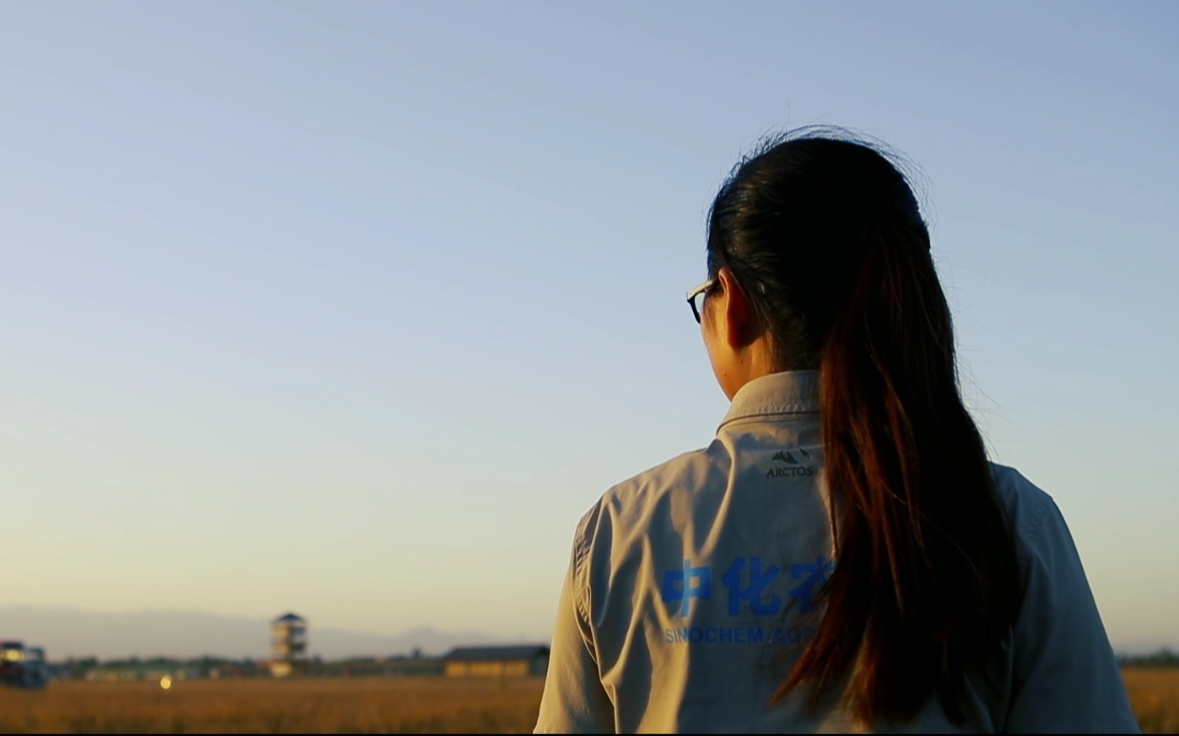 90后美女硕士为啥回家种水稻