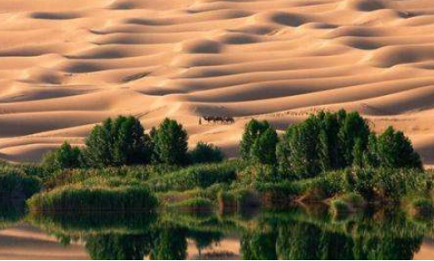 &ldquo;美丽中国&rdquo;离不开市场活力 &mdash;&mdash;库布其治沙的思考