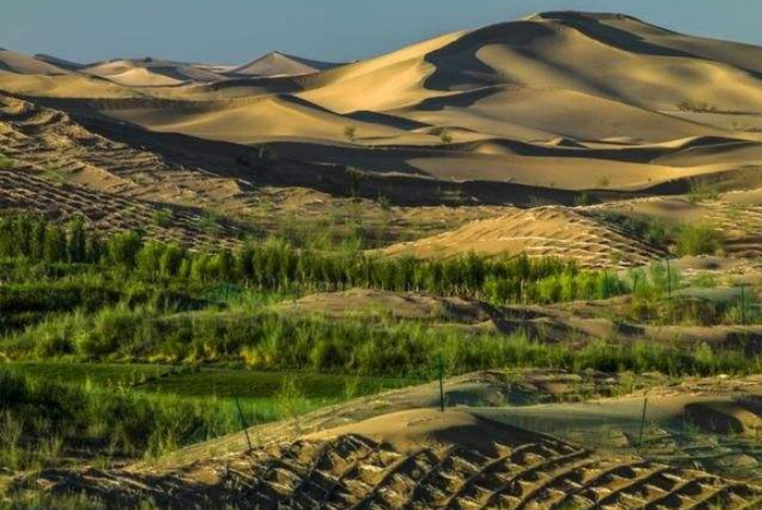 踏着前辈的脚印 创造库布其森林