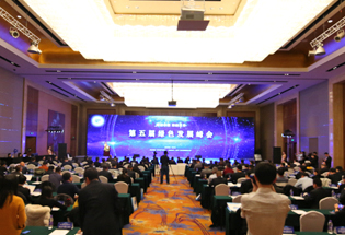 第五届绿色发展峰会现场