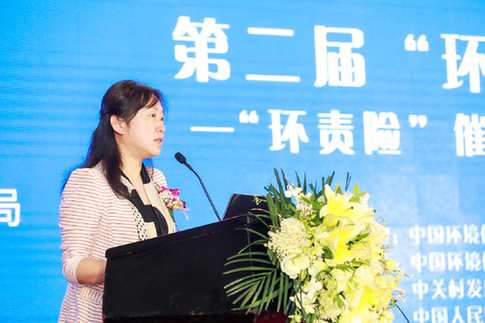 北京市地方金融监督管理局副局长李妍演讲