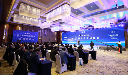 第六届绿色发展峰会现场