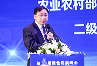 农业农村部政策与改革司二级巡视员孙邦群发言