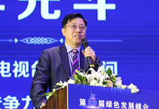 知名品牌专家李光斗发言