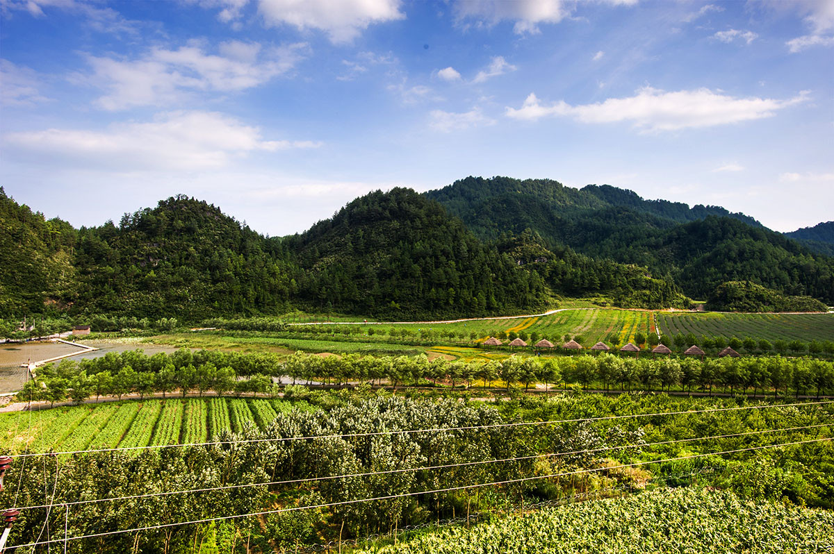 重庆市涪陵区大木乡的&ldquo;仙桃下山记&rdquo;