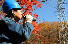 送电检修班工人吕清森：执著的坚守