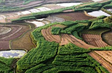 黄石国家矿山公园