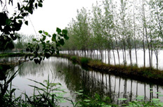 淮北国家矿山公园