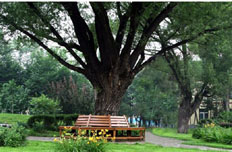 首云国家矿山公园