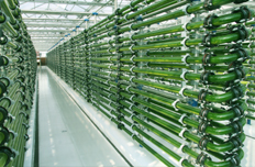 新奥能源：微藻柴油2014年将实现产业化