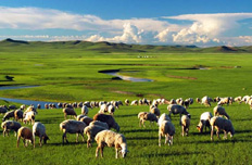 内蒙古：加大煤炭资源整合