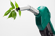 石化：集成、智能、可视、绿色