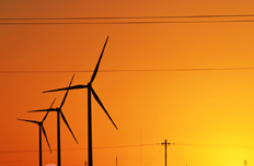 风电：风往低碳的方向吹