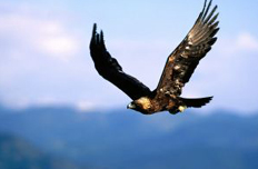 中央经济工作会议定调经济转型