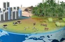 生物质能&ldquo;十二五&rdquo;开启新投资盛宴