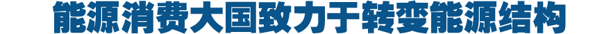 能源消费大国中国致力于转变能源结构