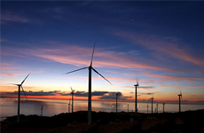 风电行业受重创