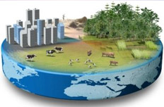 能源消费总量与效率