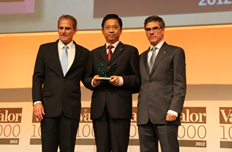 获得“2012年巴西电力行业最佳公司”称号