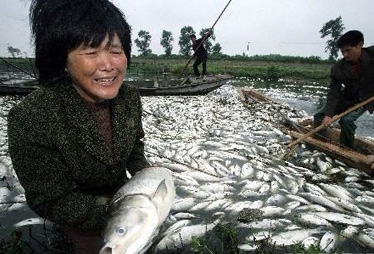 多企业涉污染事件被曝光 故乡水如何终结不可承受之痛?