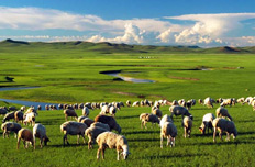 资源枯竭城市十年转型成效显著