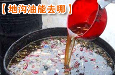 地沟油引热议 每年350万吨回流餐桌