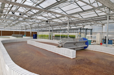 中石化石家庄炼化微藻培育池