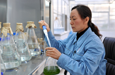 二氧化碳注入器皿培育微藻