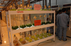 微藻培育扩种装置
