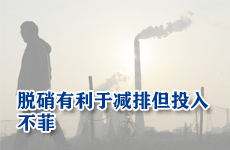 脱硝有利于减排但投入不菲