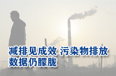 火电减排见成效 污染物排放数据仍朦胧
