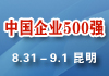 2013中国企业500强