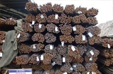 沉管预制使用钢筋