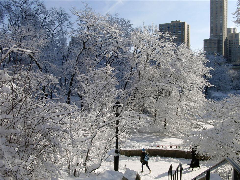 雪后中央公园