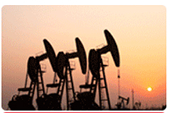 石油天然气混合所有制论坛6月24日在京举办