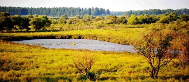 美丽中国&middot;关注湿地：大美珍宝岛湿地