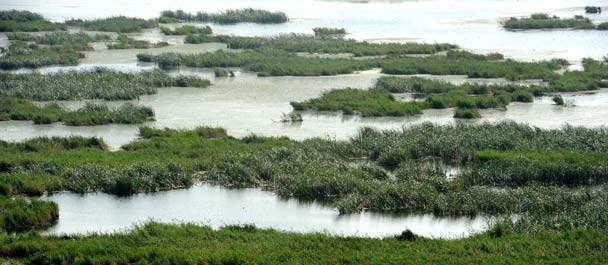鸟瞰大庆龙凤湿地
