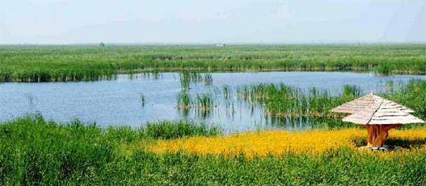 探访&ldquo;收复失地&rdquo;的湿地&mdash;&mdash;富锦国家湿地公园
