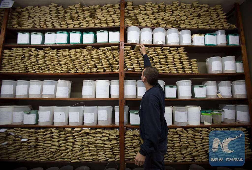 Image taken on May 11, 2016, of an employee storing a backup sample of soy seeds, in the Soy Gathering, Conditioning and Marketing Plant of the agricultural cooperative 'Argentine Federated Farmers' (AFA, for its acronym in Spanish), which processes and collects around 120,000 tons of soy per year, in Maciel city, north of Rosario, Santa Fe province, 400km away from Buenos Aires, Argentina